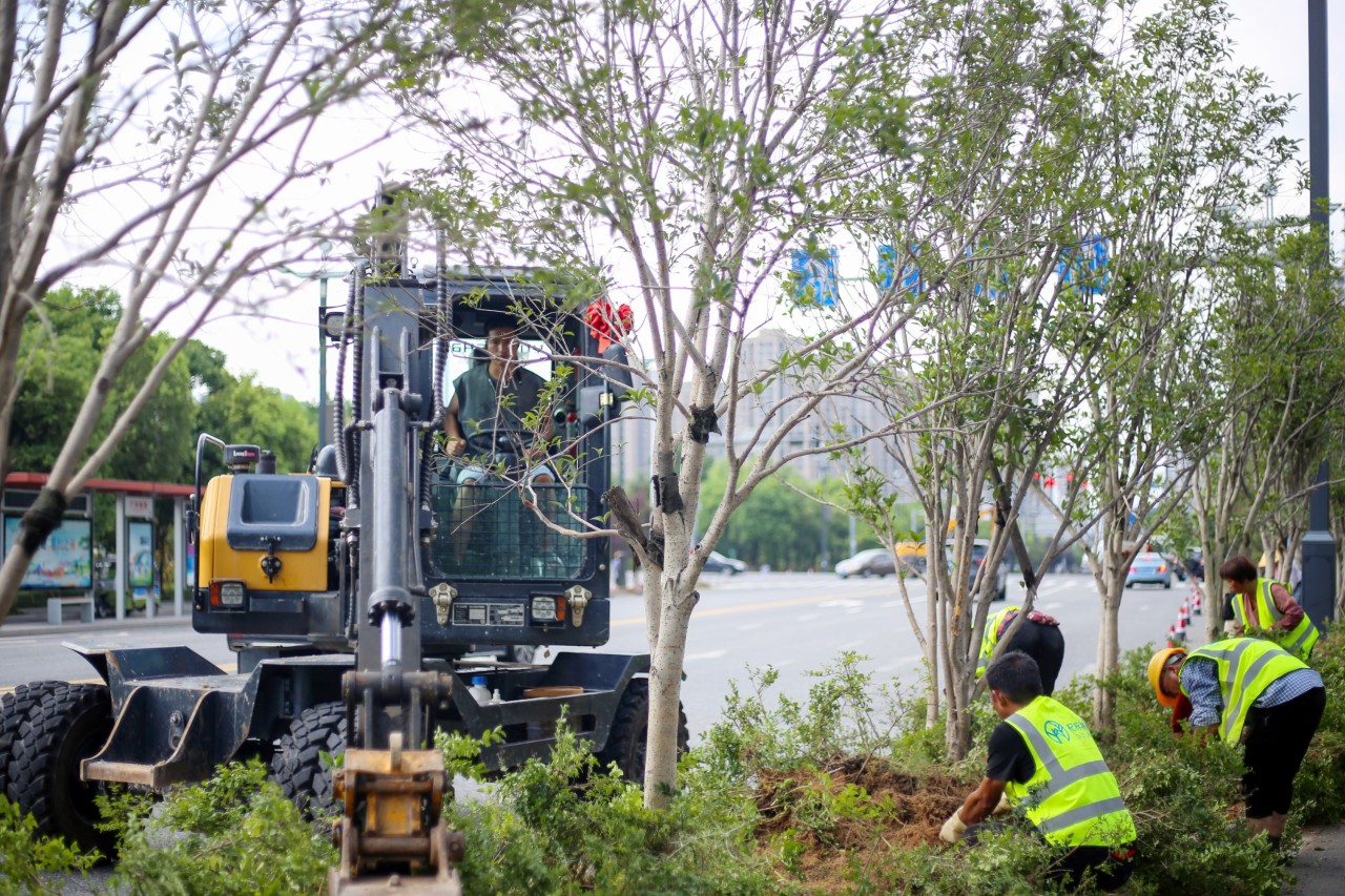 组图 | 瓯海区园林工人用汗水浇灌城市鲜绿
